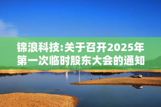 锦浪科技:关于召开2025年第一次临时股东大会的通知