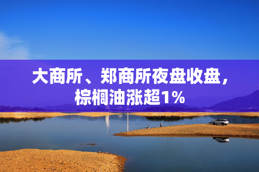 大商所、郑商所夜盘收盘，棕榈油涨超1%