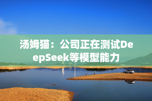 汤姆猫：公司正在测试DeepSeek等模型能力