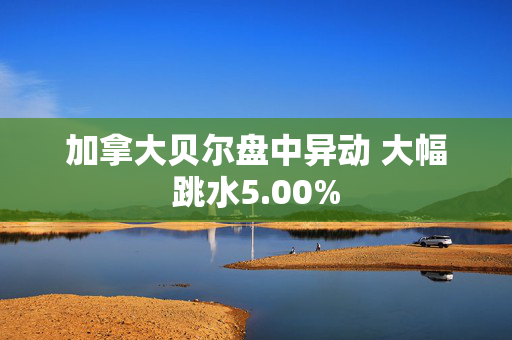 加拿大贝尔盘中异动 大幅跳水5.00%