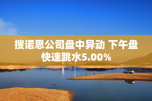 搜诺思公司盘中异动 下午盘快速跳水5.00%