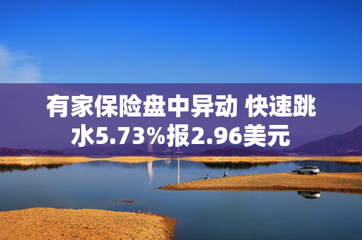 有家保险盘中异动 快速跳水5.73%报2.96美元