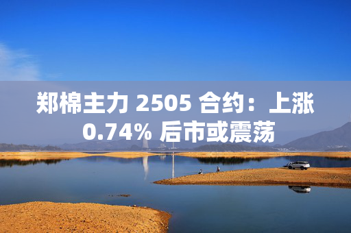 郑棉主力 2505 合约：上涨 0.74% 后市或震荡