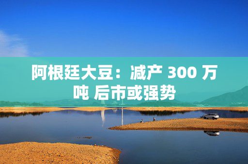 阿根廷大豆：减产 300 万吨 后市或强势