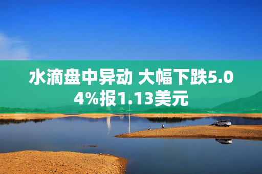 水滴盘中异动 大幅下跌5.04%报1.13美元