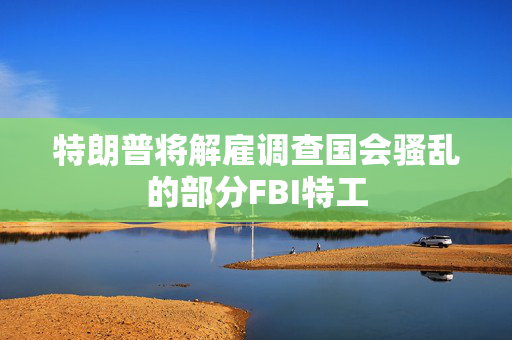 特朗普将解雇调查国会骚乱的部分FBI特工