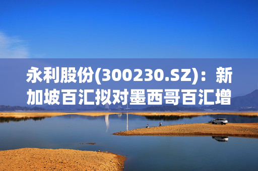 永利股份(300230.SZ)：新加坡百汇拟对墨西哥百汇增资600万美元