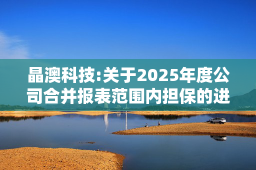 晶澳科技:关于2025年度公司合并报表范围内担保的进展公告