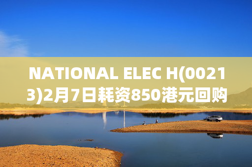 NATIONAL ELEC H(00213)2月7日耗资850港元回购2000股