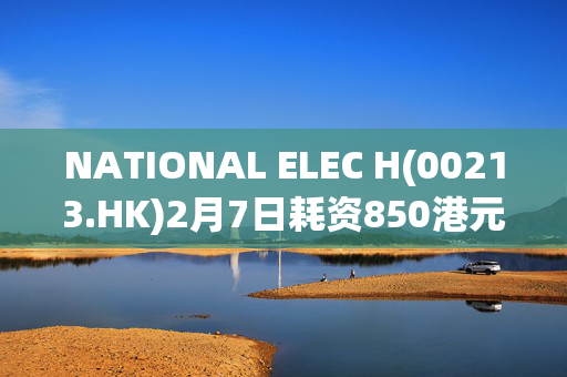 NATIONAL ELEC H(00213.HK)2月7日耗资850港元回购2000股