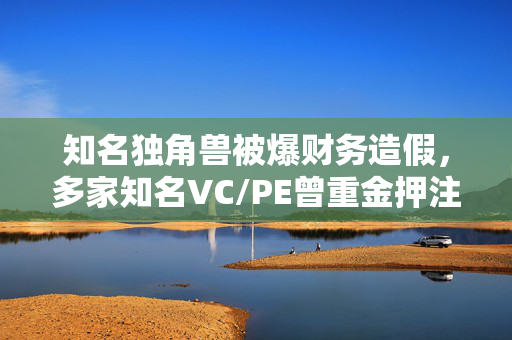 知名独角兽被爆财务造假，多家知名VC/PE曾重金押注