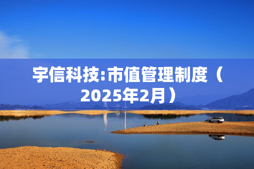 宇信科技:市值管理制度（2025年2月）