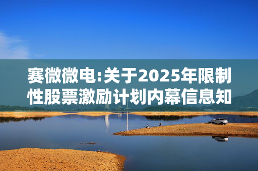 赛微微电:关于2025年限制性股票激励计划内幕信息知情人买卖公司股票情况的自查报告