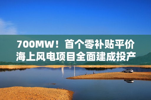 700MW！首个零补贴平价海上风电项目全面建成投产