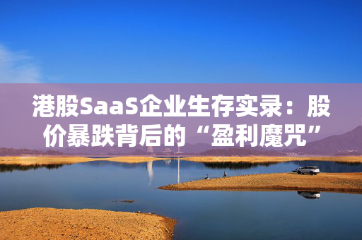 港股SaaS企业生存实录：股价暴跌背后的“盈利魔咒” 当“高增长故事”不再性感企业又如何急救？