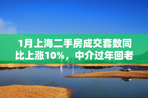 1月上海二手房成交套数同比上涨10%，中介过年回老家还在接受客户线上咨询