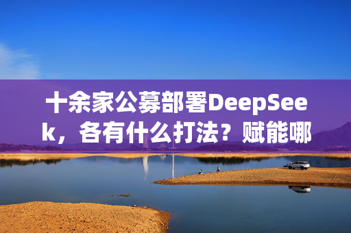 十余家公募部署DeepSeek，各有什么打法？赋能哪些场景？