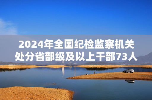 2024年全国纪检监察机关处分省部级及以上干部73人