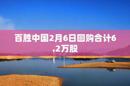 百胜中国2月6日回购合计6.2万股