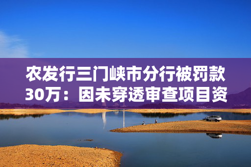 农发行三门峡市分行被罚款30万：因未穿透审查项目资本金来源