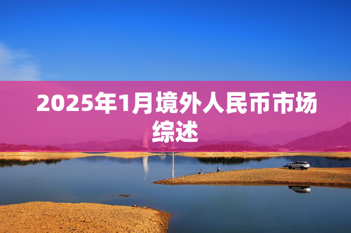 2025年1月境外人民币市场综述