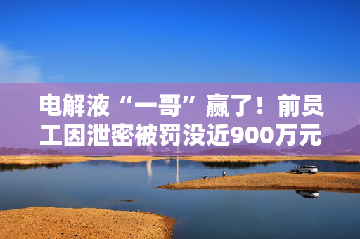 电解液“一哥”赢了！前员工因泄密被罚没近900万元