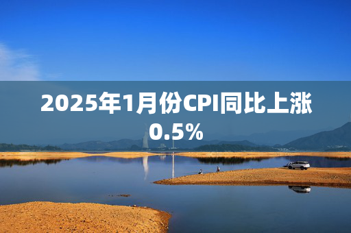 2025年1月份CPI同比上涨0.5%