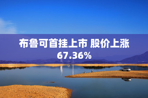 布鲁可首挂上市 股价上涨67.36%