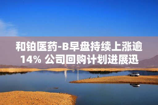 和铂医药-B早盘持续上涨逾14% 公司回购计划进展迅速