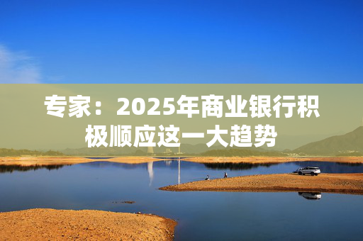 专家：2025年商业银行积极顺应这一大趋势