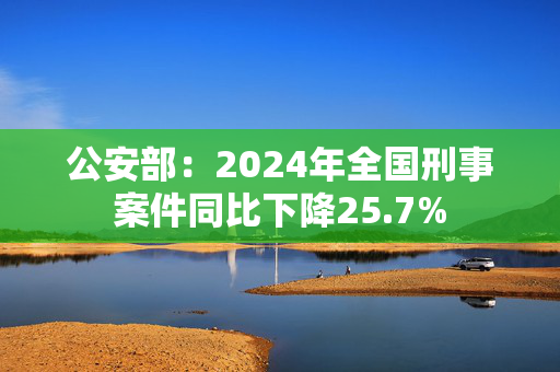 公安部：2024年全国刑事案件同比下降25.7%