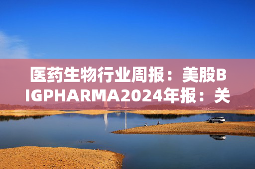 医药生物行业周报：美股BIGPHARMA2024年报：关注业绩表现、指引及2025年重点催化剂事件