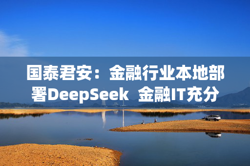 国泰君安：金融行业本地部署DeepSeek  金融IT充分受益