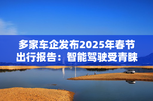 多家车企发布2025年春节出行报告：智能驾驶受青睐 补能效率再提升