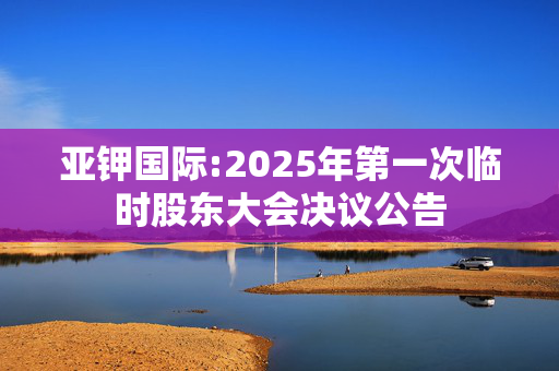 亚钾国际:2025年第一次临时股东大会决议公告