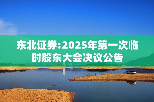 东北证券:2025年第一次临时股东大会决议公告