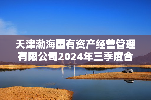 天津渤海国有资产经营管理有限公司2024年三季度合并及母公司财务报表