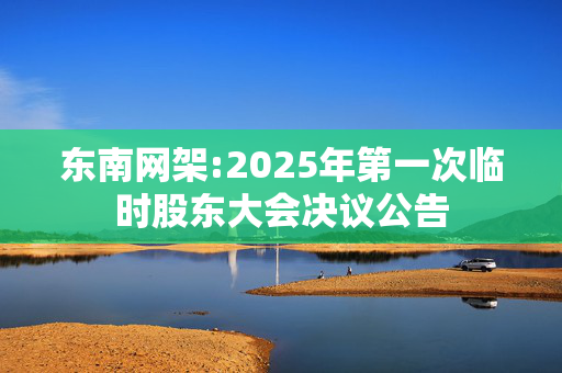 东南网架:2025年第一次临时股东大会决议公告