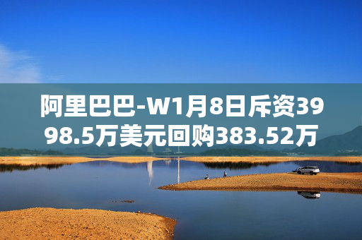 阿里巴巴-W1月8日斥资3998.5万美元回购383.52万股