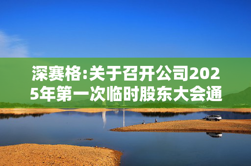 深赛格:关于召开公司2025年第一次临时股东大会通知的公告