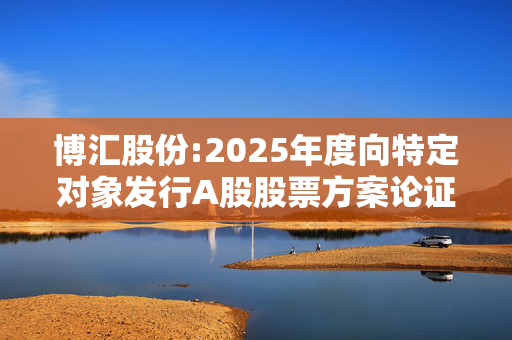 博汇股份:2025年度向特定对象发行A股股票方案论证分析报告