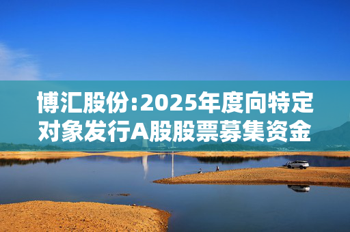 博汇股份:2025年度向特定对象发行A股股票募集资金运用可行性分析报告