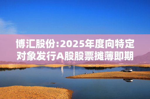 博汇股份:2025年度向特定对象发行A股股票摊薄即期回报填补措施及相关主体承诺的公告