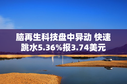 脑再生科技盘中异动 快速跳水5.36%报3.74美元