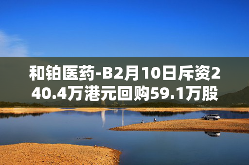 和铂医药-B2月10日斥资240.4万港元回购59.1万股