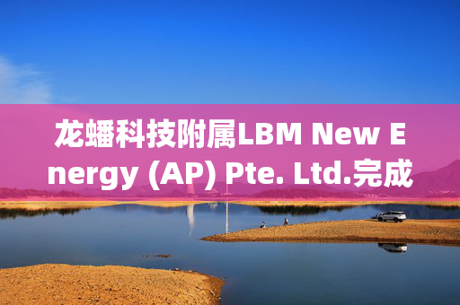 龙蟠科技附属LBM New Energy (AP) Pte. Ltd.完成发行认购股份