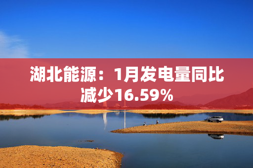 湖北能源：1月发电量同比减少16.59%