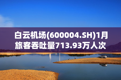 白云机场(600004.SH)1月旅客吞吐量713.93万人次，同比增长13.12%