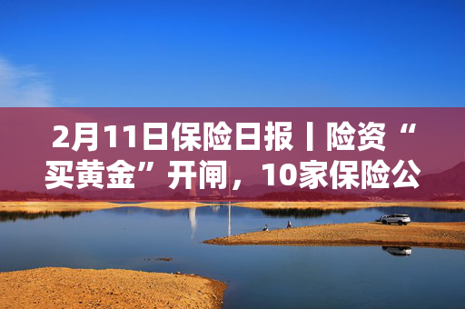 2月11日保险日报丨险资“买黄金”开闸，10家保险公司先行！行业净资产大涨21%，多家银行系险企却现“腰斩”