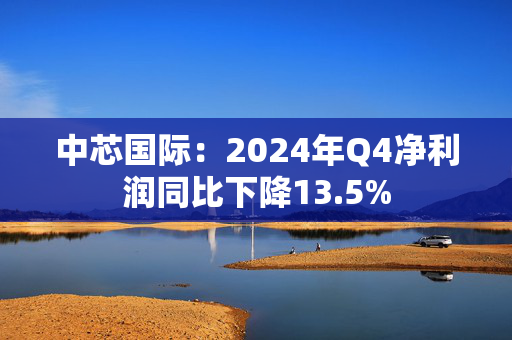 中芯国际：2024年Q4净利润同比下降13.5%